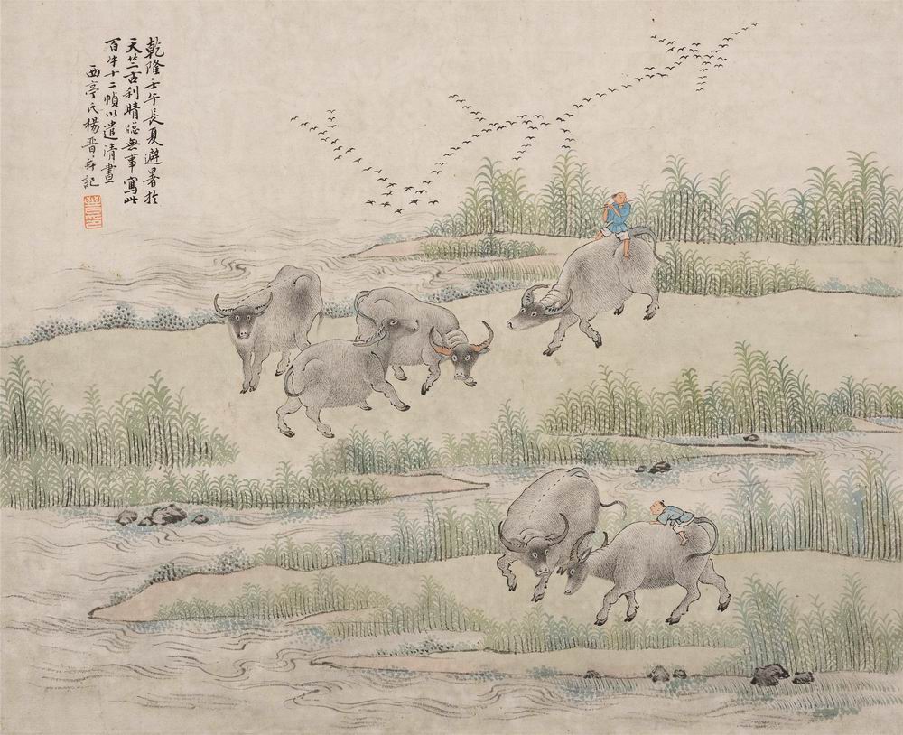a杨晋-2-8（31-40镜.jpg